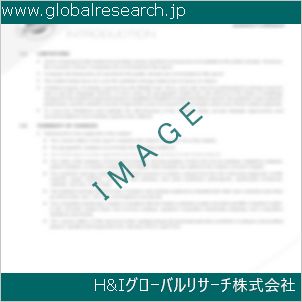 グローバルリサーチ調査資料のイメージ
